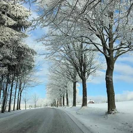 ゲストハウス Harvanek 3*