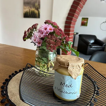 Harvanek ゲストハウス Vlachovice