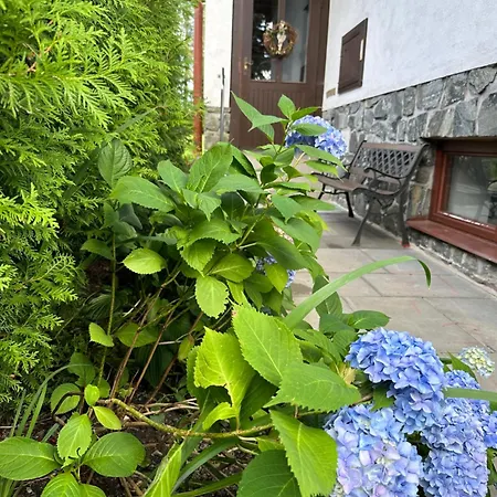 ゲストハウス Harvanek Vlachovice