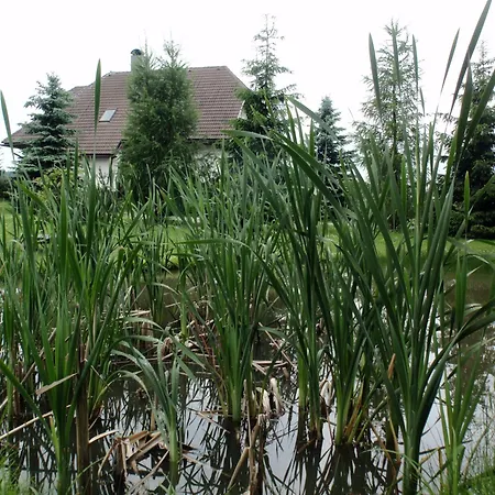 Harvanek ゲストハウス