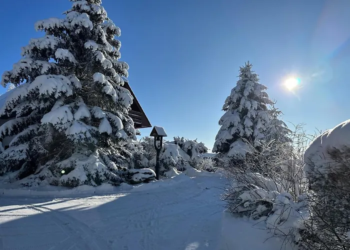 Casa de hóspedes Harvanek Vlachovice