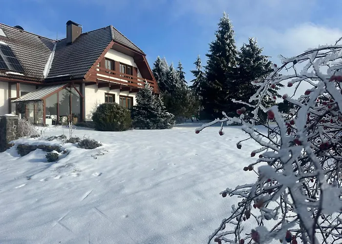 Casa de hóspedes Harvanek 3*